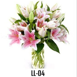 LL04