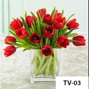 TV03