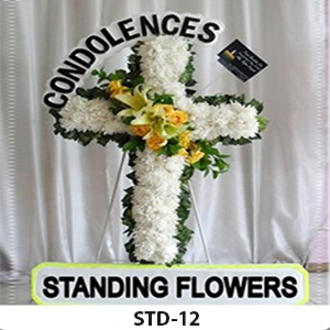 STD-12