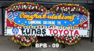 Bunga Papan Besar Dan Jumbo