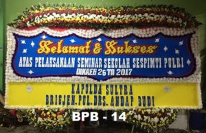 Bunga Papan Besar Dan Jumbo